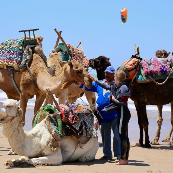 balade à dos de dromadaire à essaouira